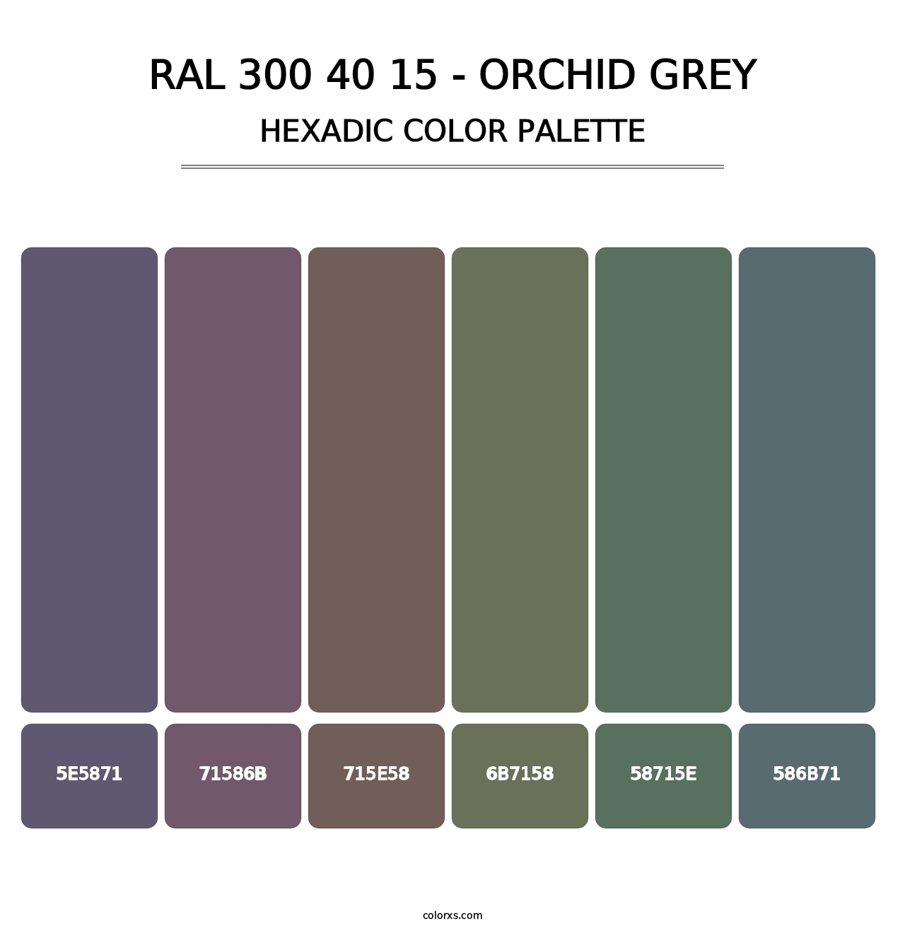 RAL 300 40 15 - Orchid Grey - Hexadic Color Palette