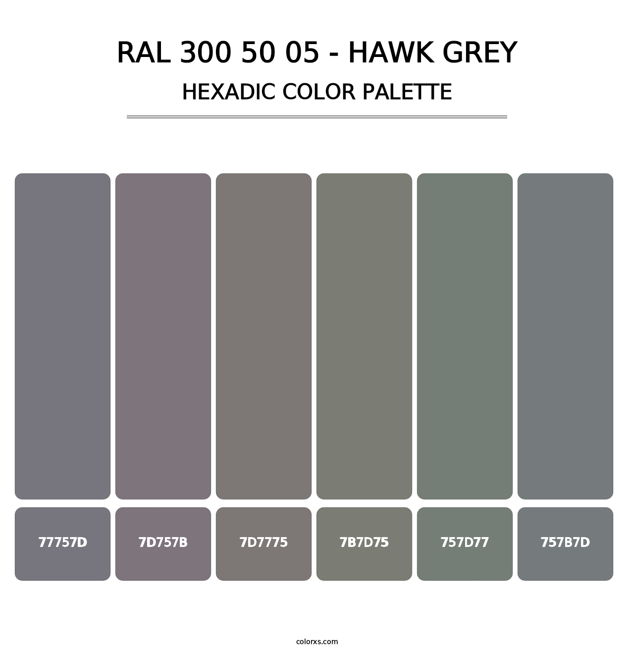 RAL 300 50 05 - Hawk Grey - Hexadic Color Palette