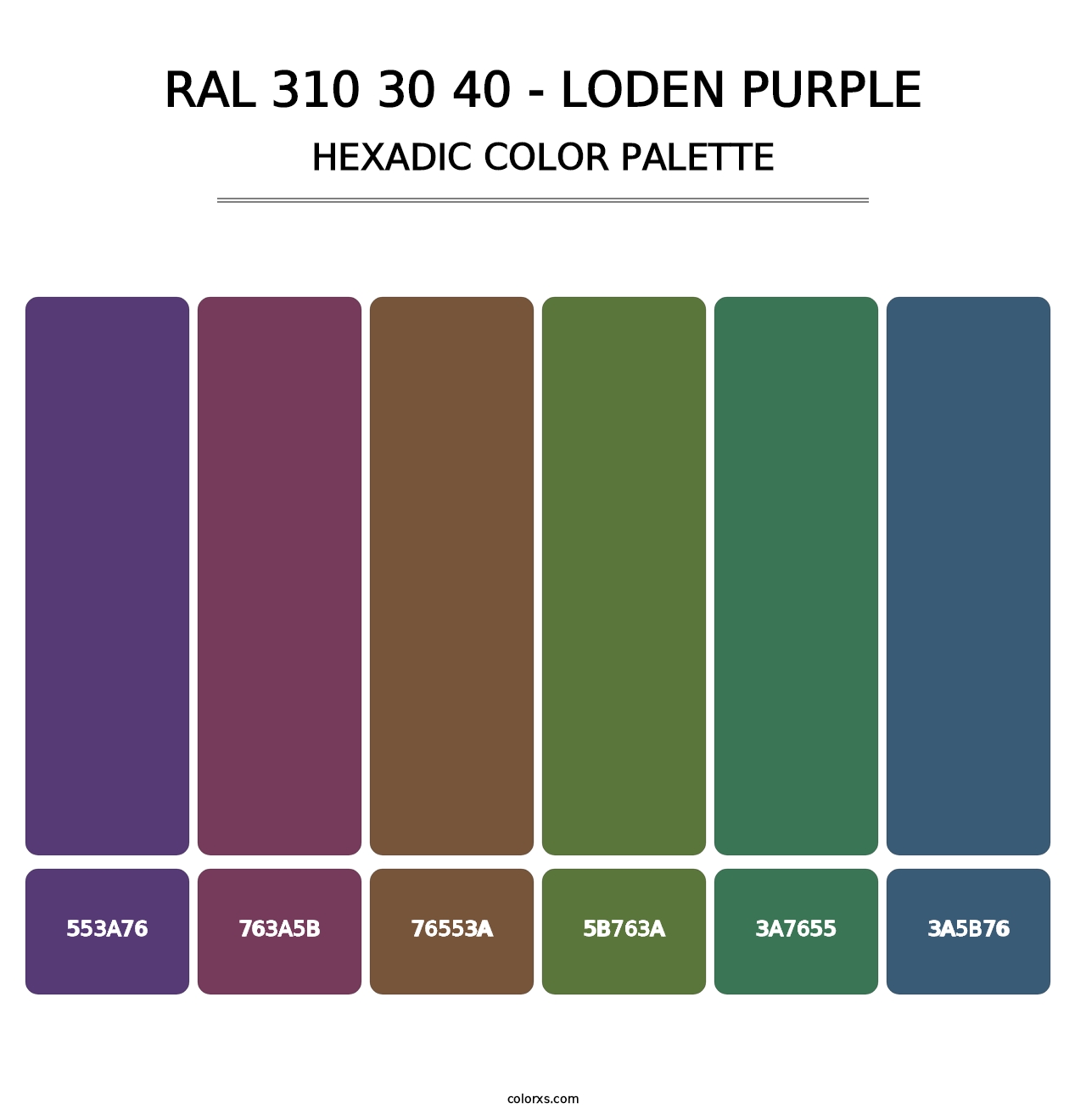 RAL 310 30 40 - Loden Purple - Hexadic Color Palette