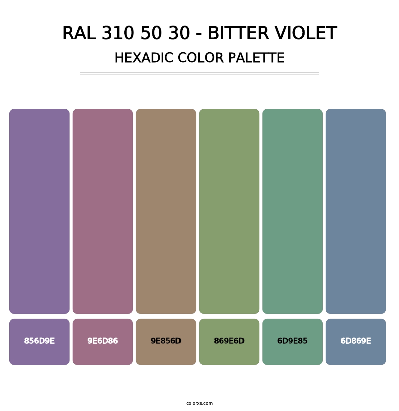 RAL 310 50 30 - Bitter Violet - Hexadic Color Palette
