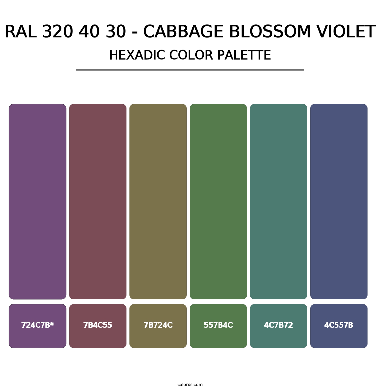 RAL 320 40 30 - Cabbage Blossom Violet - Hexadic Color Palette