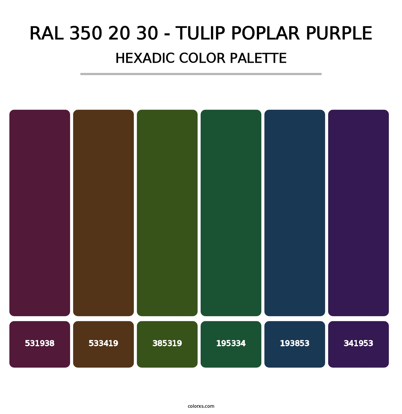 RAL 350 20 30 - Tulip Poplar Purple - Hexadic Color Palette
