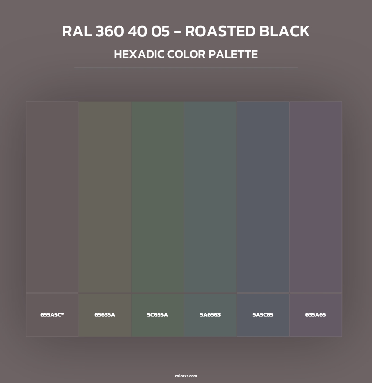 RAL 360 40 05 - Roasted Black - Hexadic Color Palette