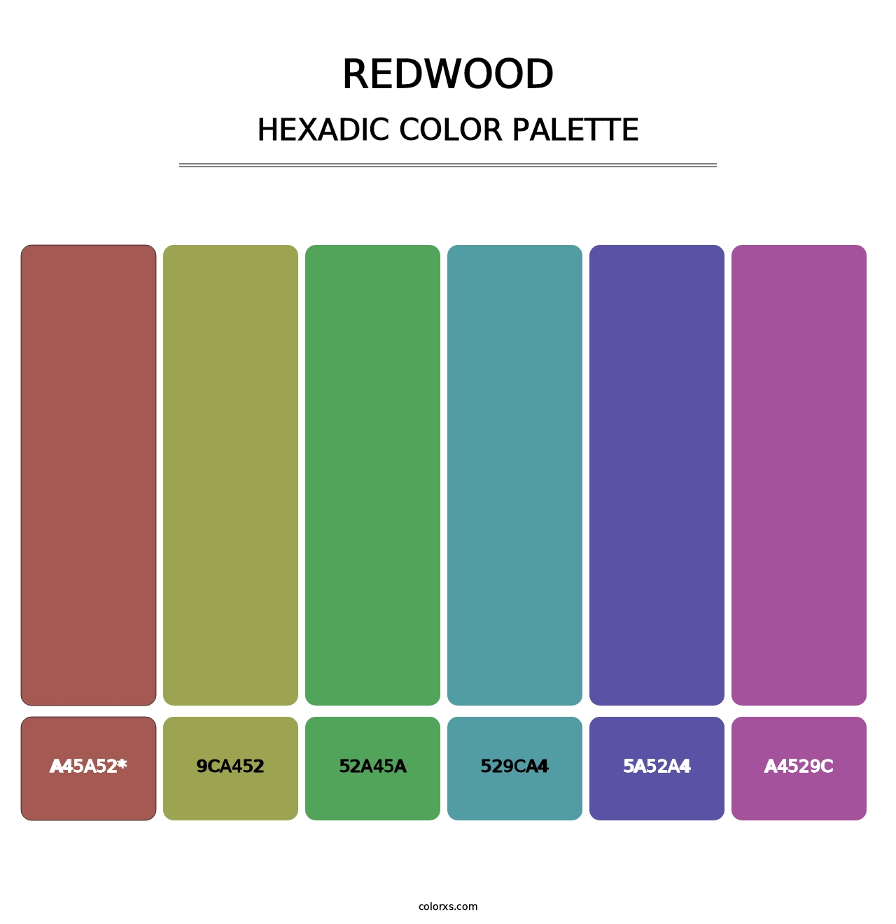 Redwood - Hexadic Color Palette