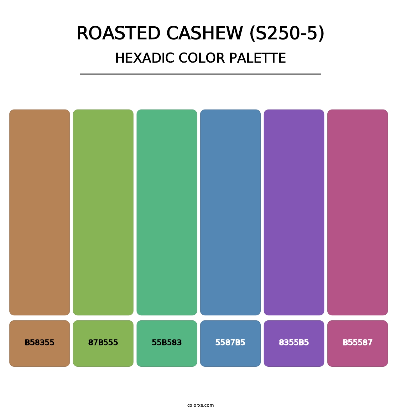 Roasted Cashew (S250-5) - Hexadic Color Palette