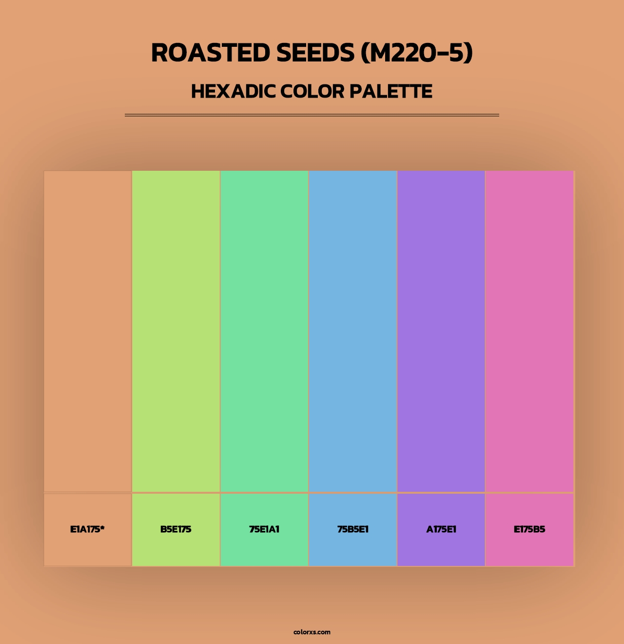 Roasted Seeds (M220-5) - Hexadic Color Palette