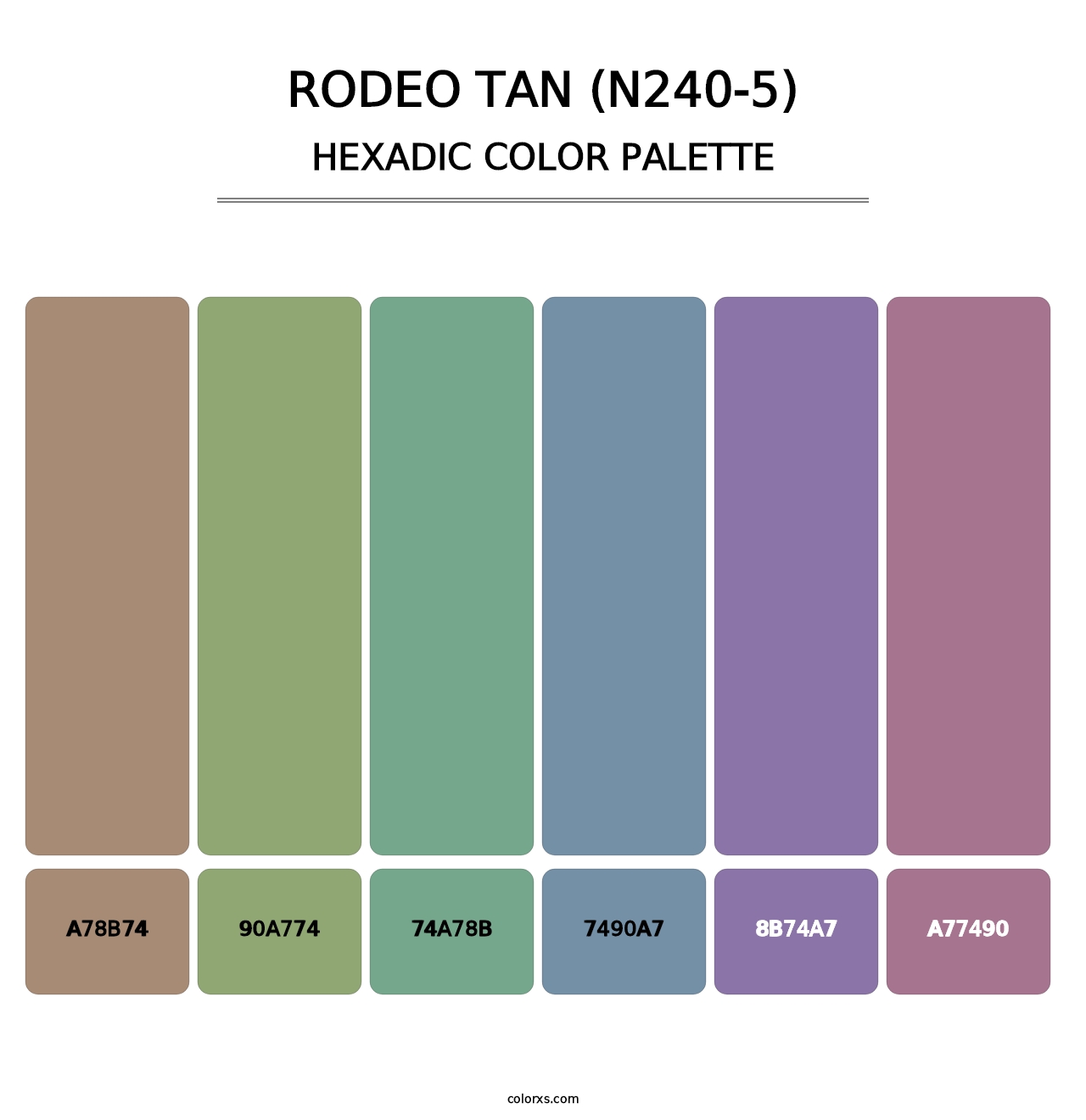Rodeo Tan (N240-5) - Hexadic Color Palette