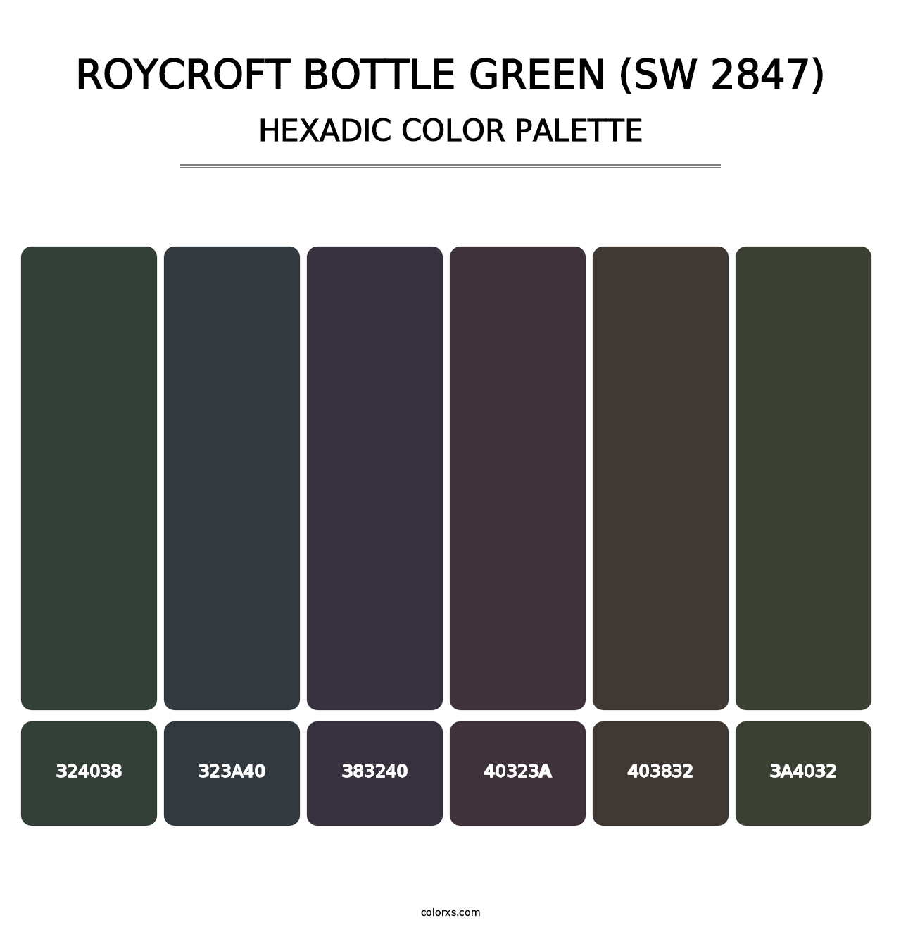 Roycroft Bottle Green (SW 2847) - Hexadic Color Palette