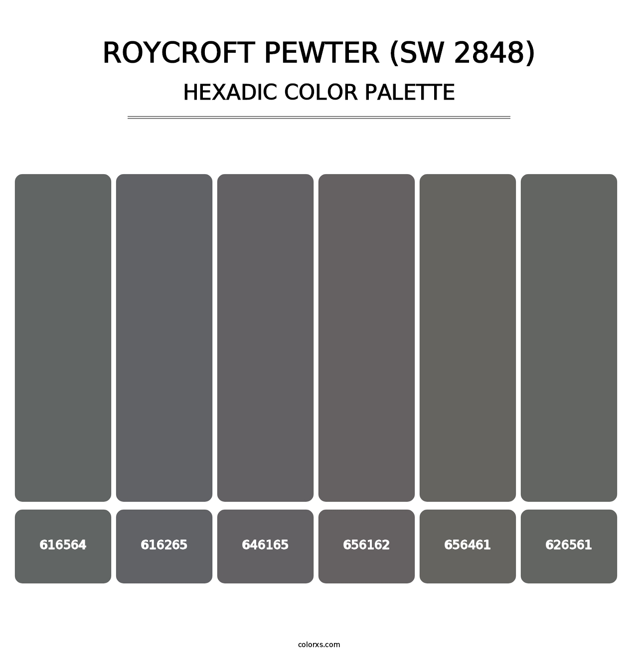 Roycroft Pewter (SW 2848) - Hexadic Color Palette