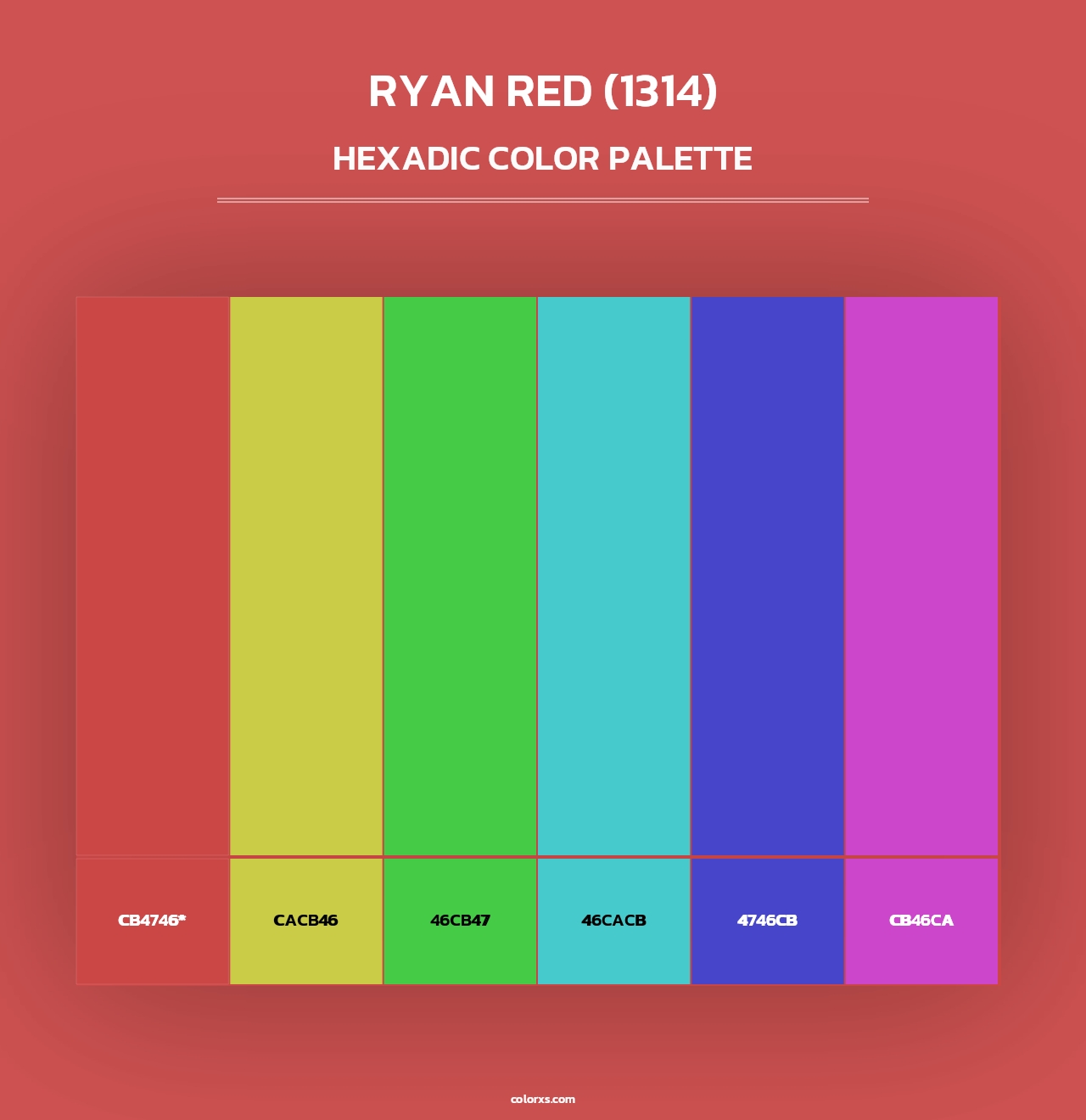 Ryan Red (1314) - Hexadic Color Palette