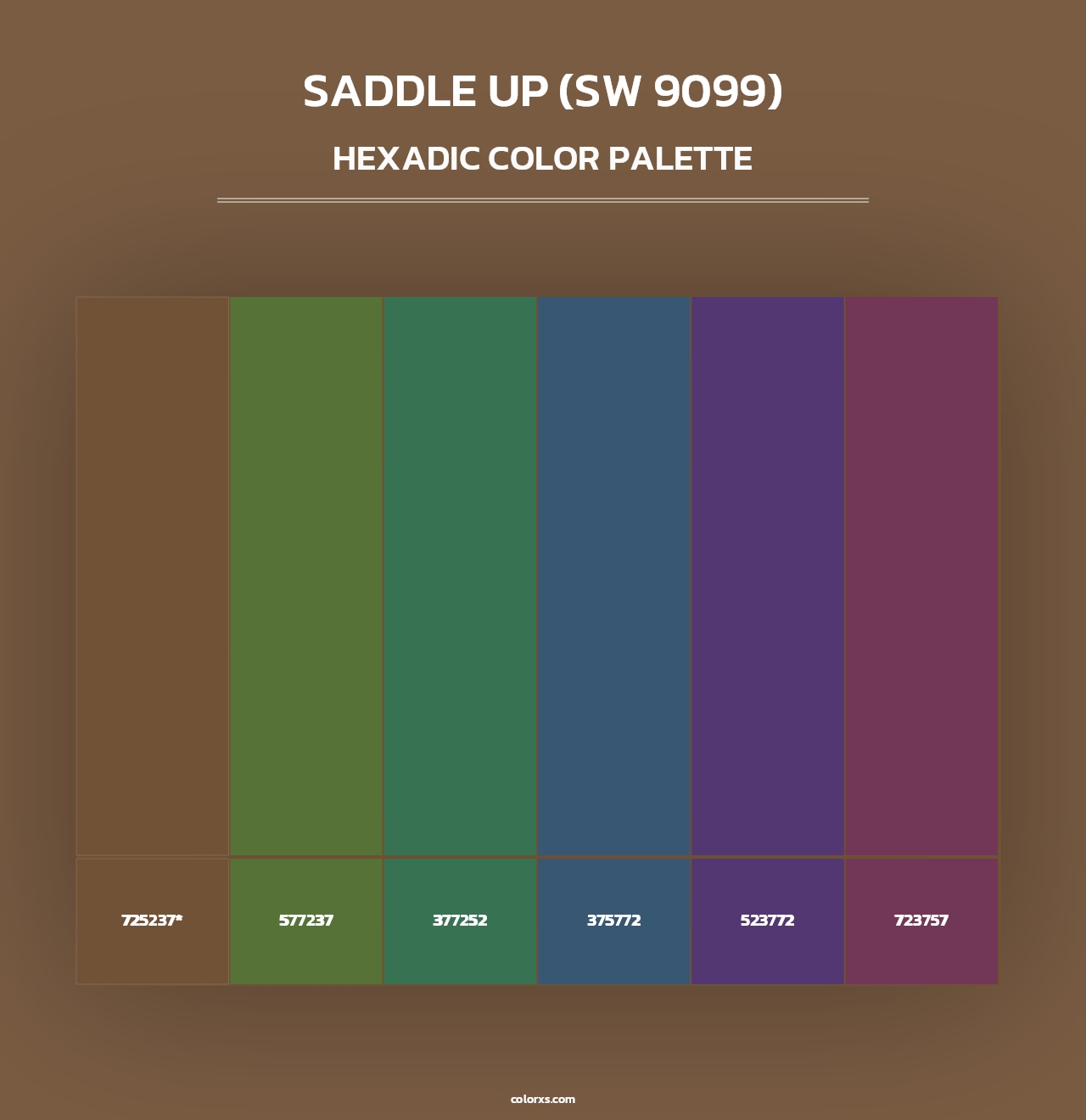 Saddle Up (SW 9099) - Hexadic Color Palette