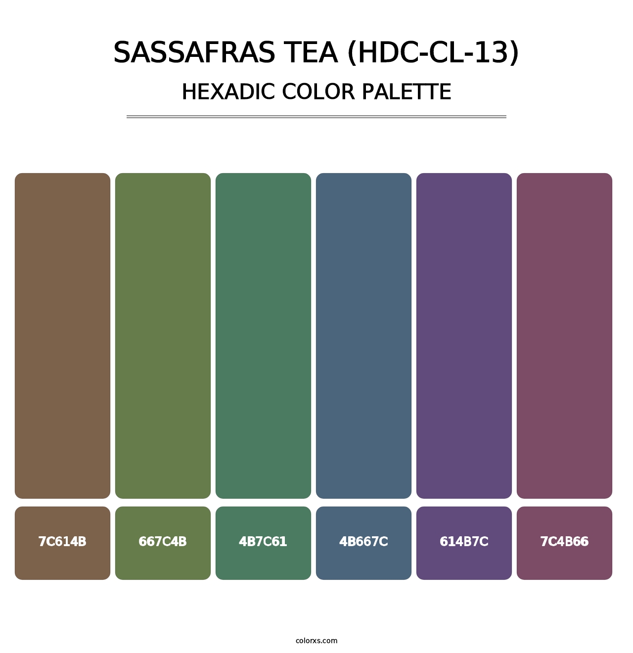 Sassafras Tea (HDC-CL-13) - Hexadic Color Palette