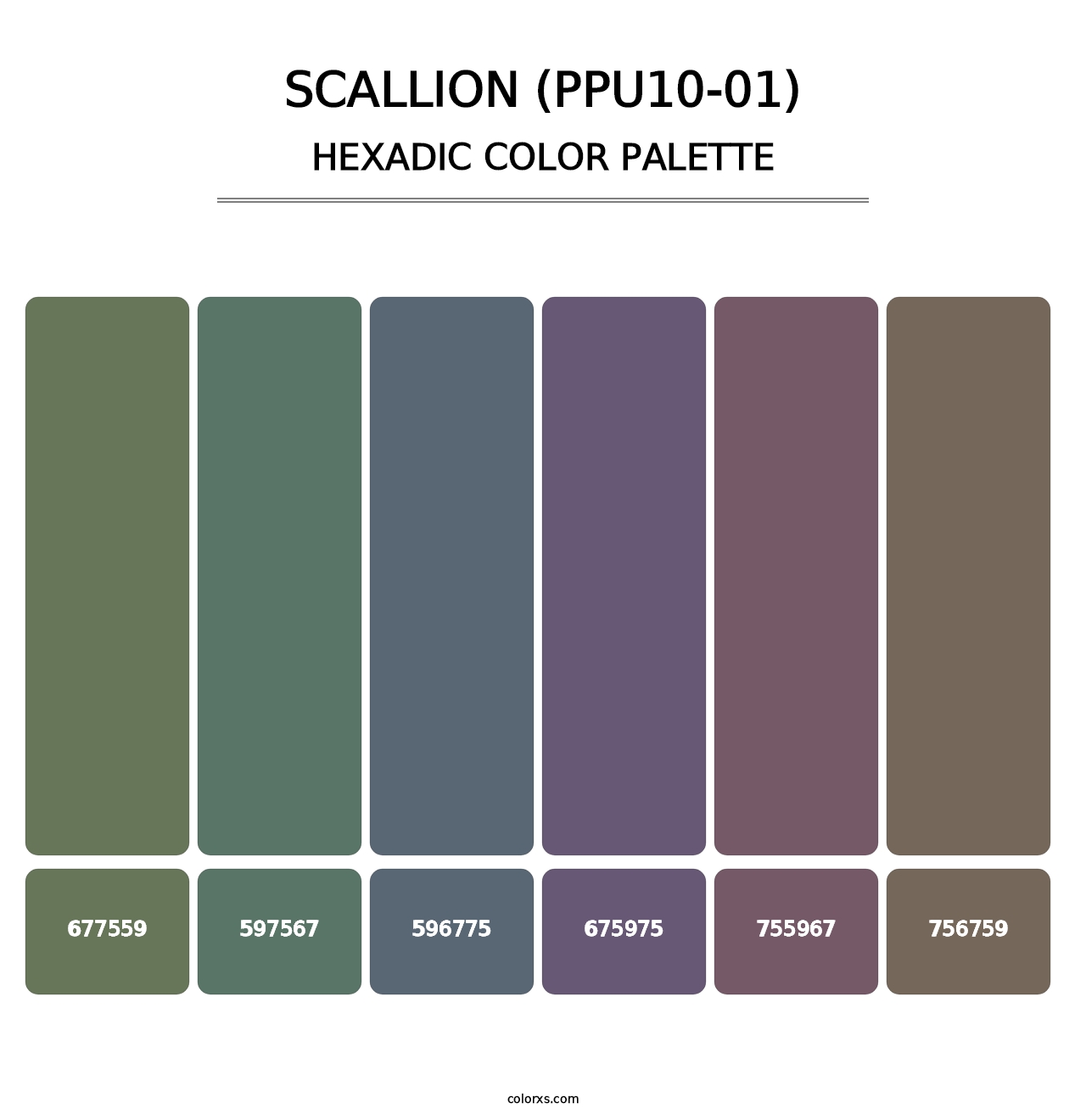 Scallion (PPU10-01) - Hexadic Color Palette
