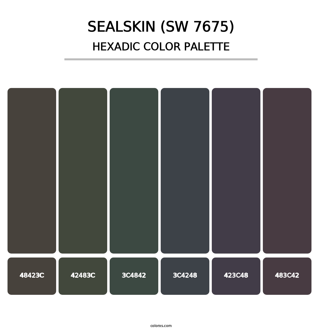 Sealskin (SW 7675) - Hexadic Color Palette