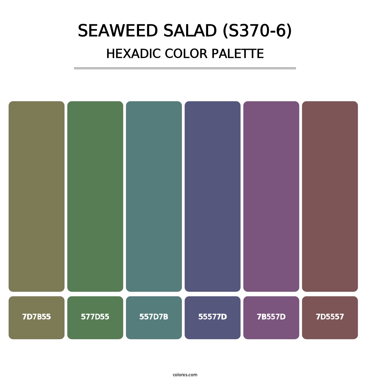 Seaweed Salad (S370-6) - Hexadic Color Palette