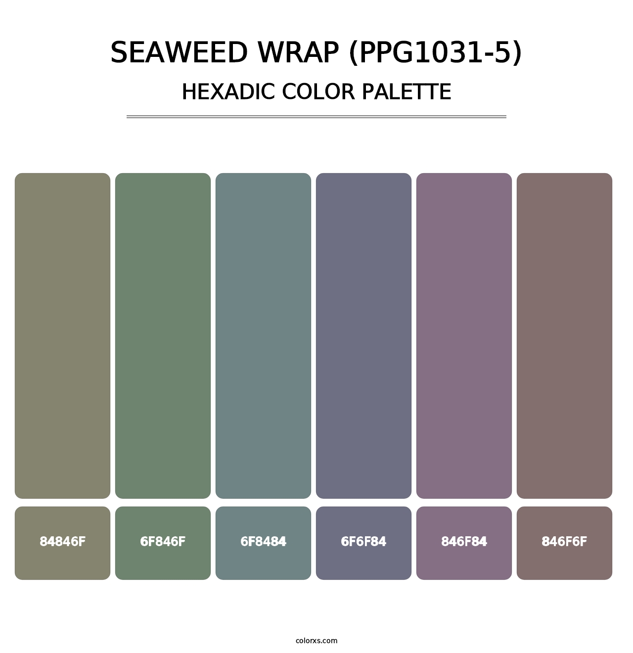 Seaweed Wrap (PPG1031-5) - Hexadic Color Palette