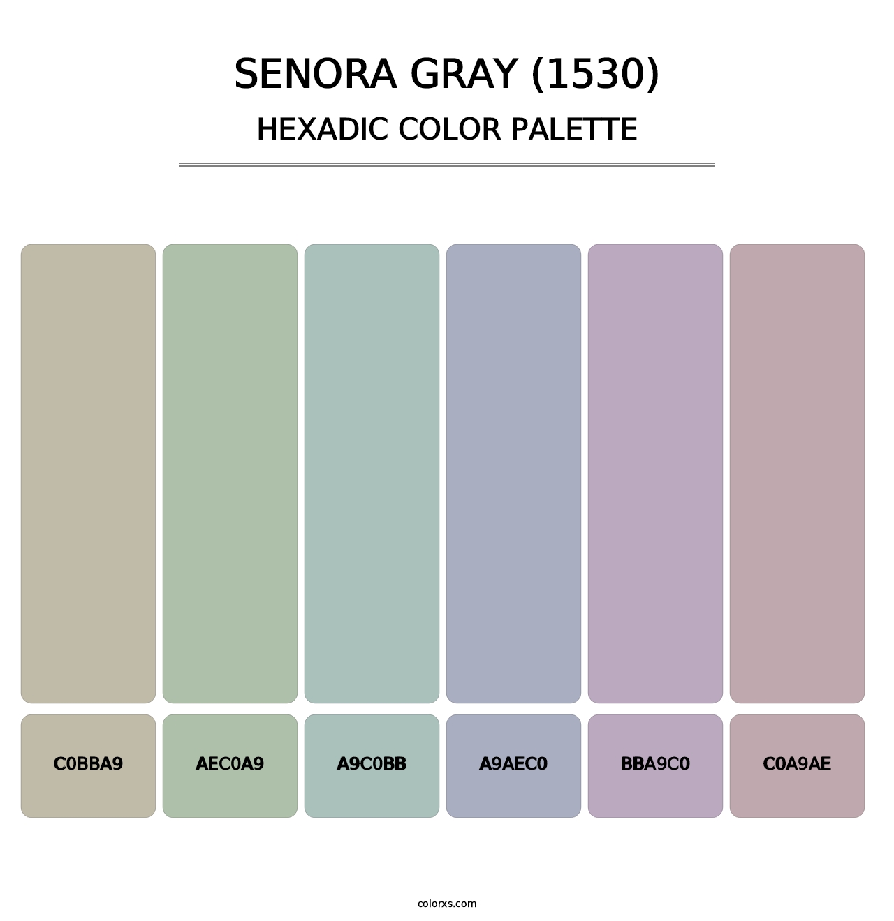 Senora Gray (1530) - Hexadic Color Palette