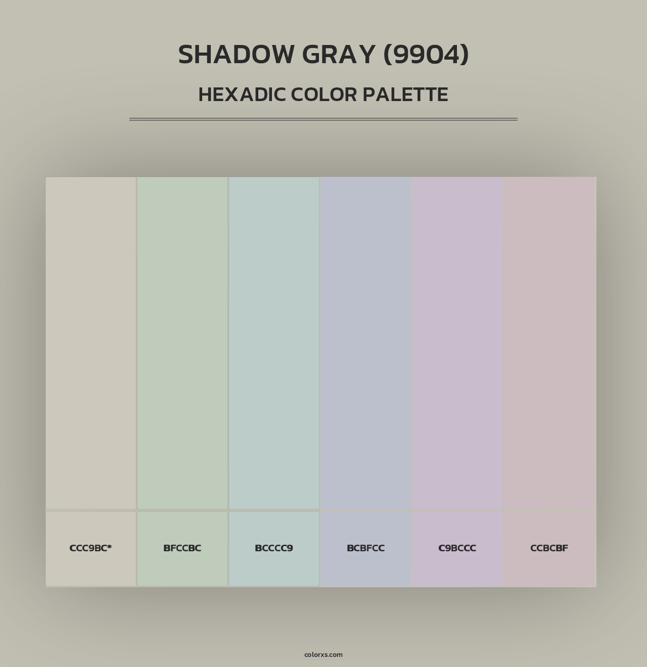 Shadow Gray (9904) - Hexadic Color Palette