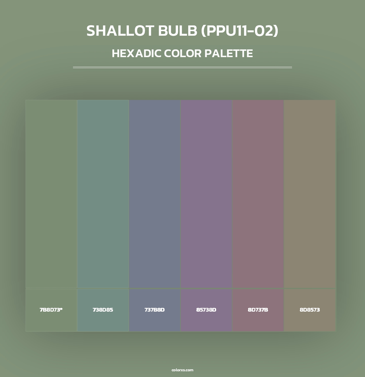 Shallot Bulb (PPU11-02) - Hexadic Color Palette