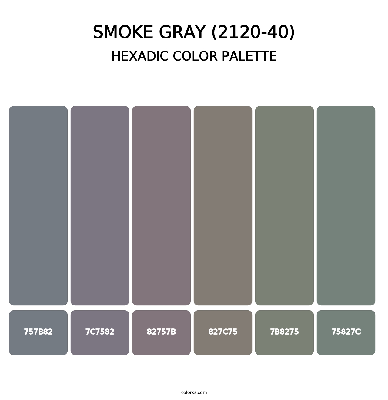 Smoke Gray (2120-40) - Hexadic Color Palette