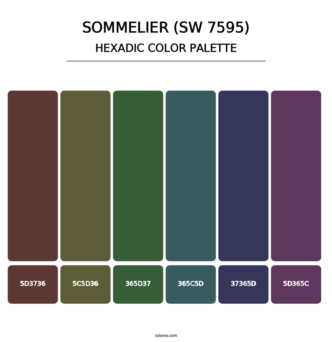 Sommelier (SW 7595) - Hexadic Color Palette