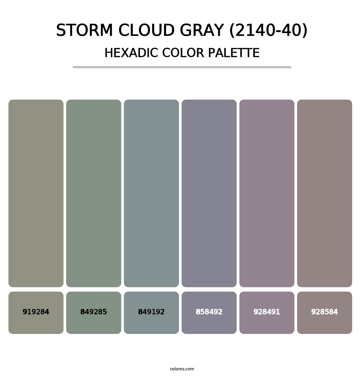 Storm Cloud Gray (2140-40) - Hexadic Color Palette