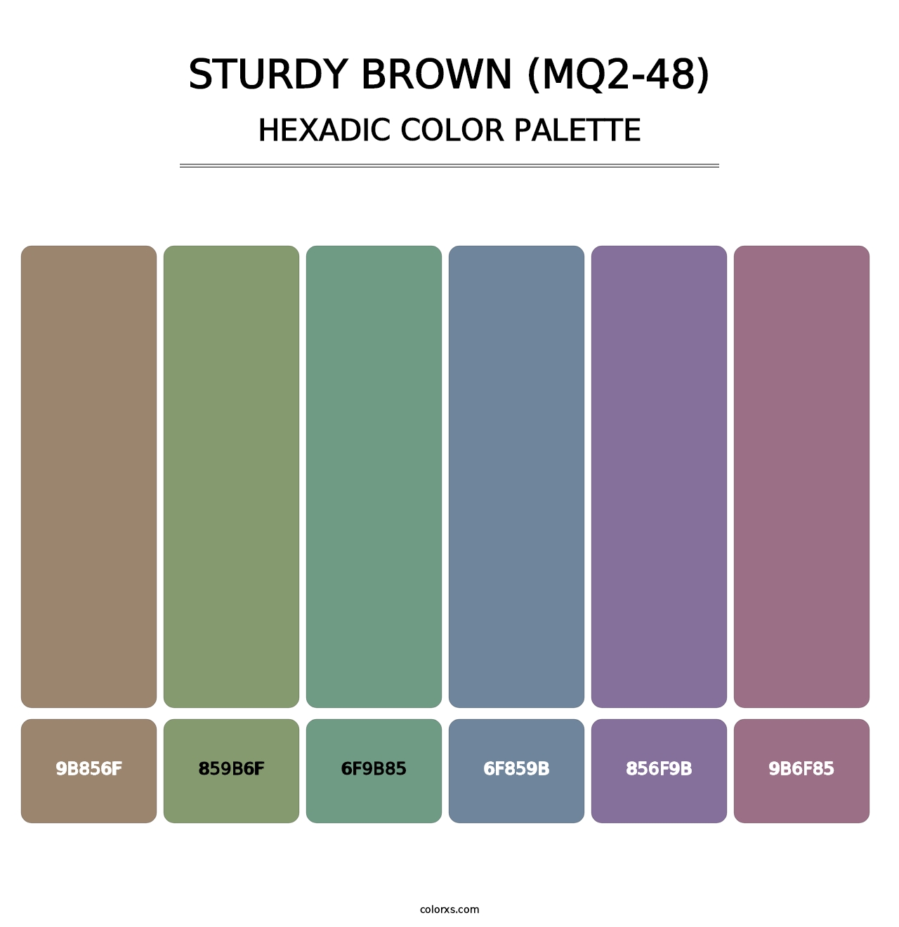 Sturdy Brown (MQ2-48) - Hexadic Color Palette