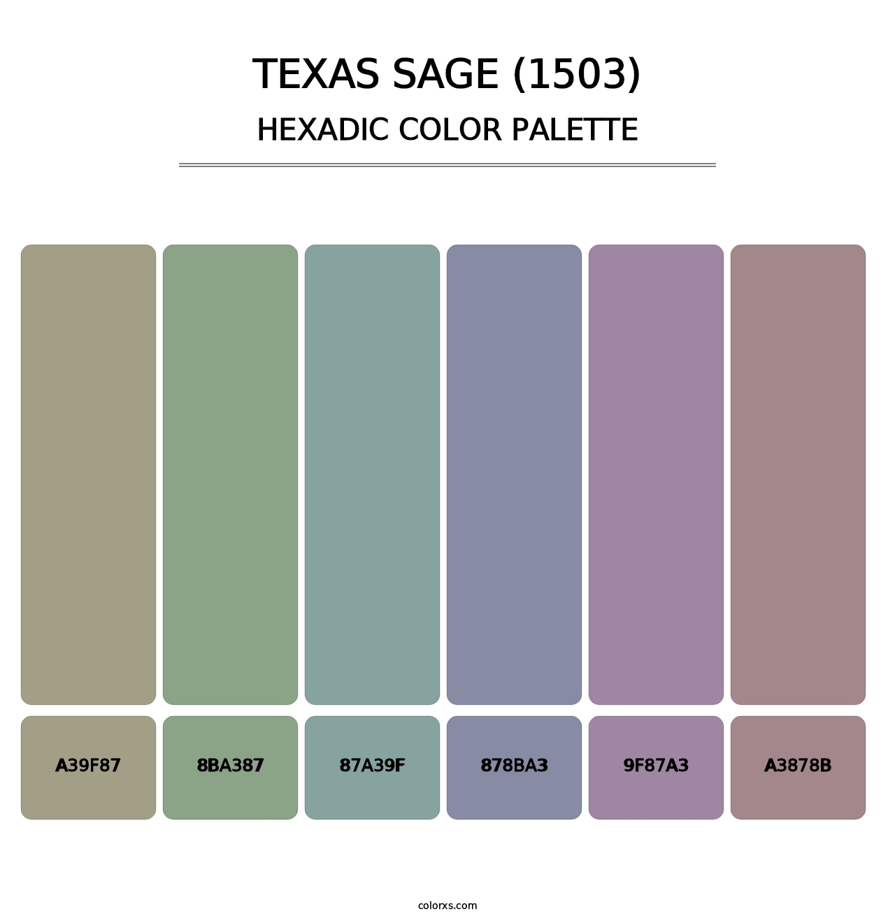 Texas Sage (1503) - Hexadic Color Palette