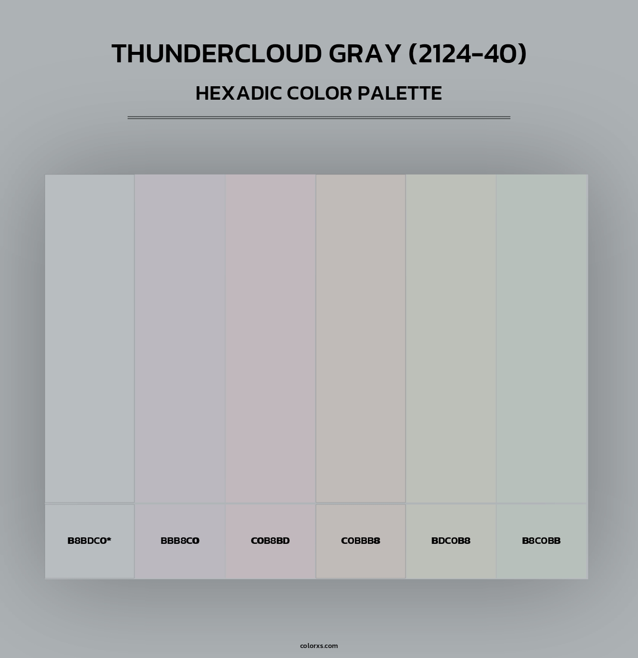 Thundercloud Gray (2124-40) - Hexadic Color Palette