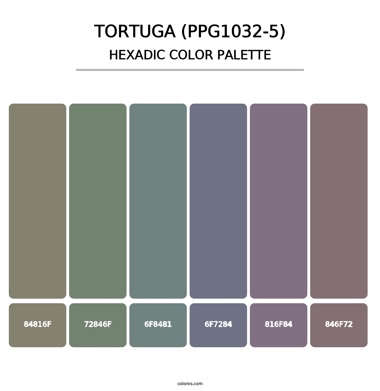 Tortuga (PPG1032-5) - Hexadic Color Palette