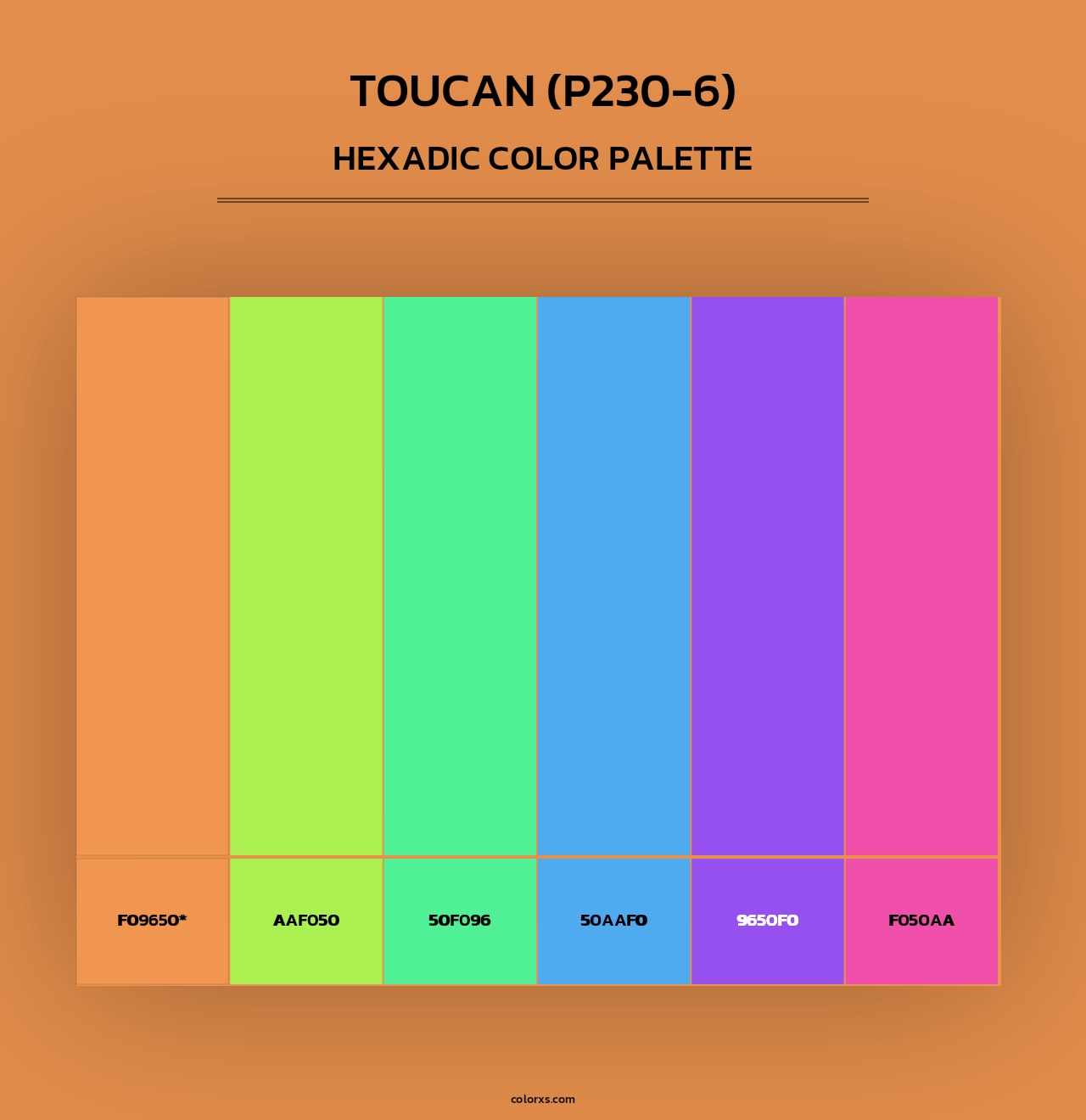 Toucan (P230-6) - Hexadic Color Palette