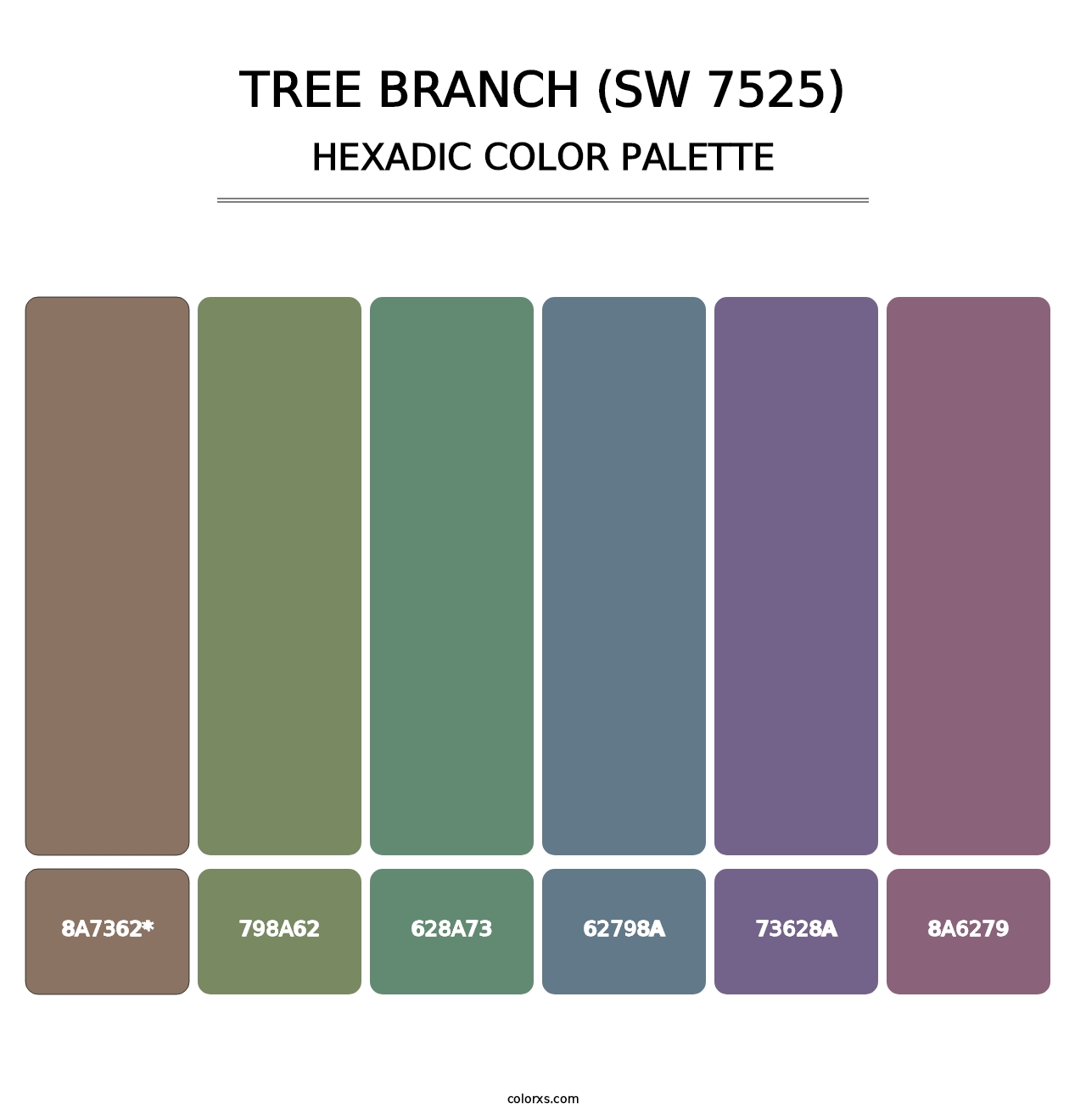 Tree Branch (SW 7525) - Hexadic Color Palette