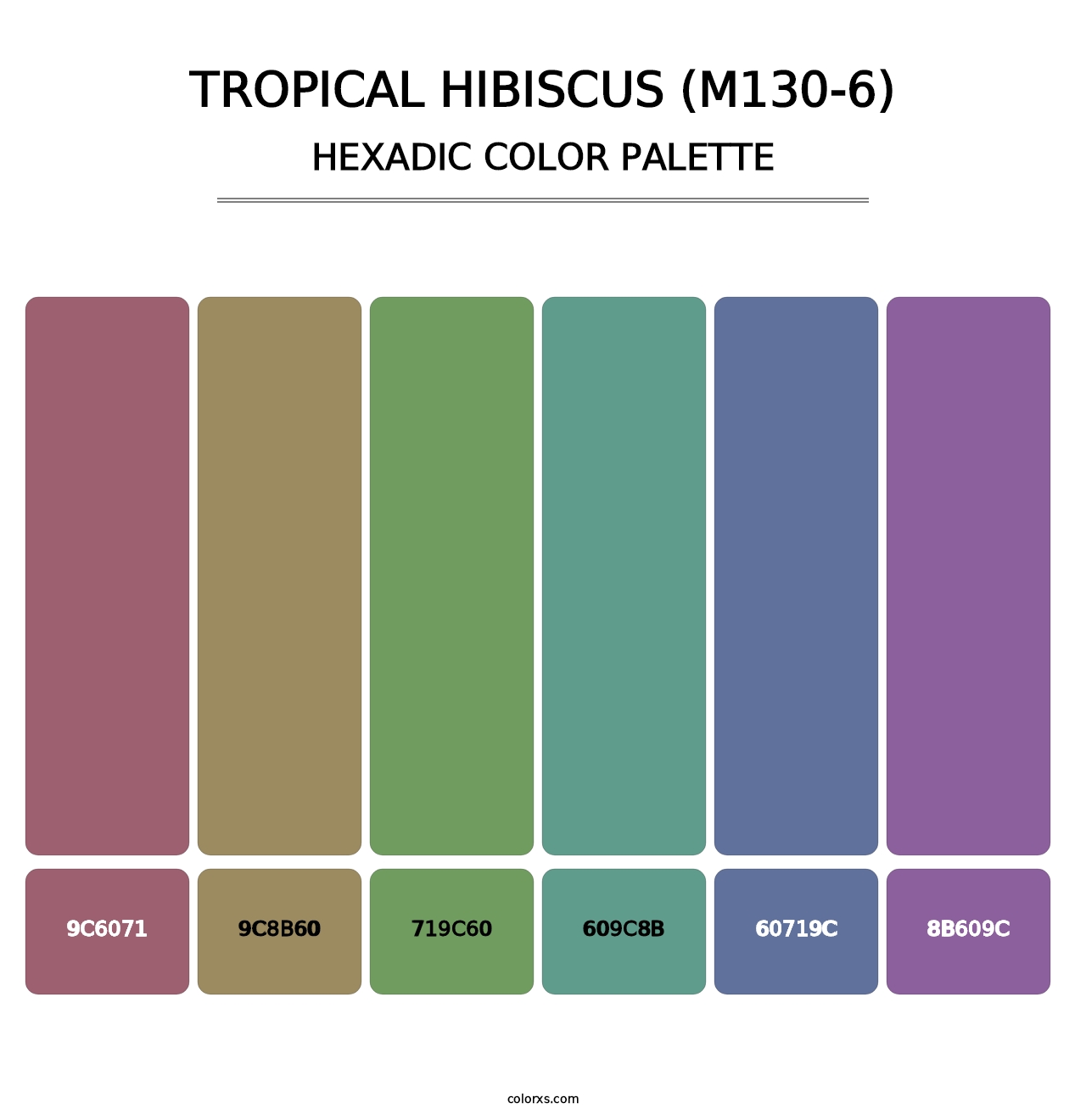 Tropical Hibiscus (M130-6) - Hexadic Color Palette