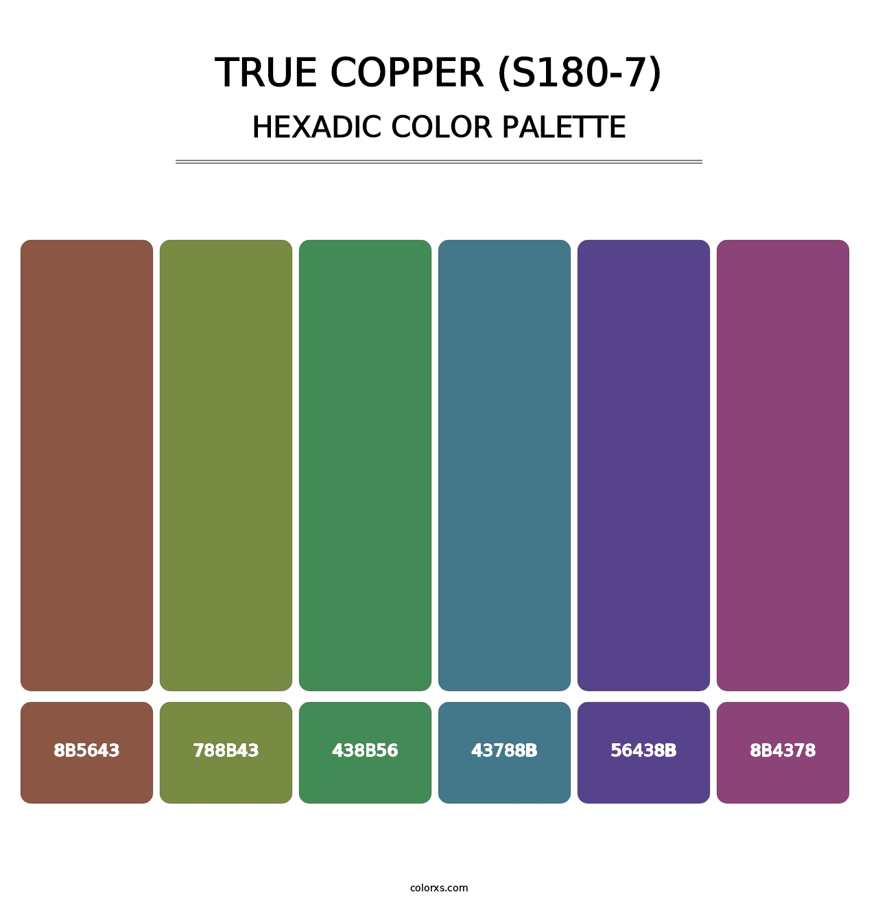 True Copper (S180-7) - Hexadic Color Palette