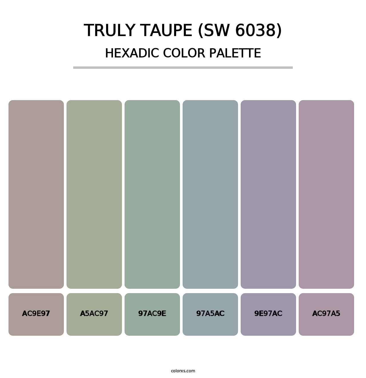 Truly Taupe (SW 6038) - Hexadic Color Palette