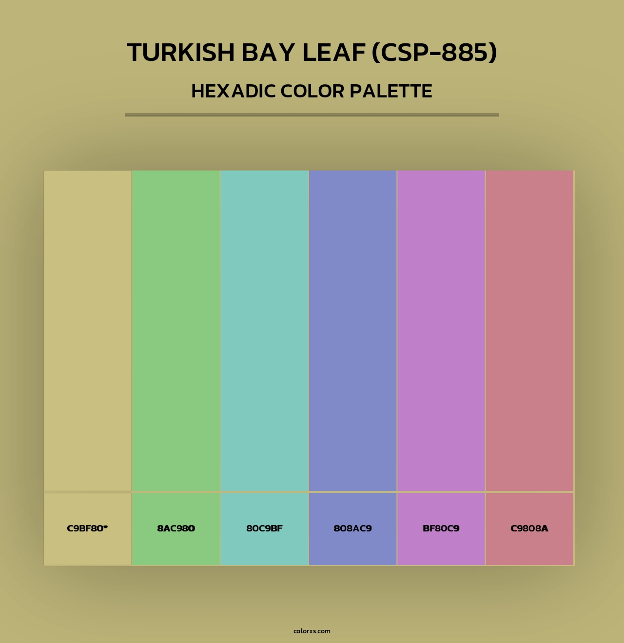 Turkish Bay Leaf (CSP-885) - Hexadic Color Palette