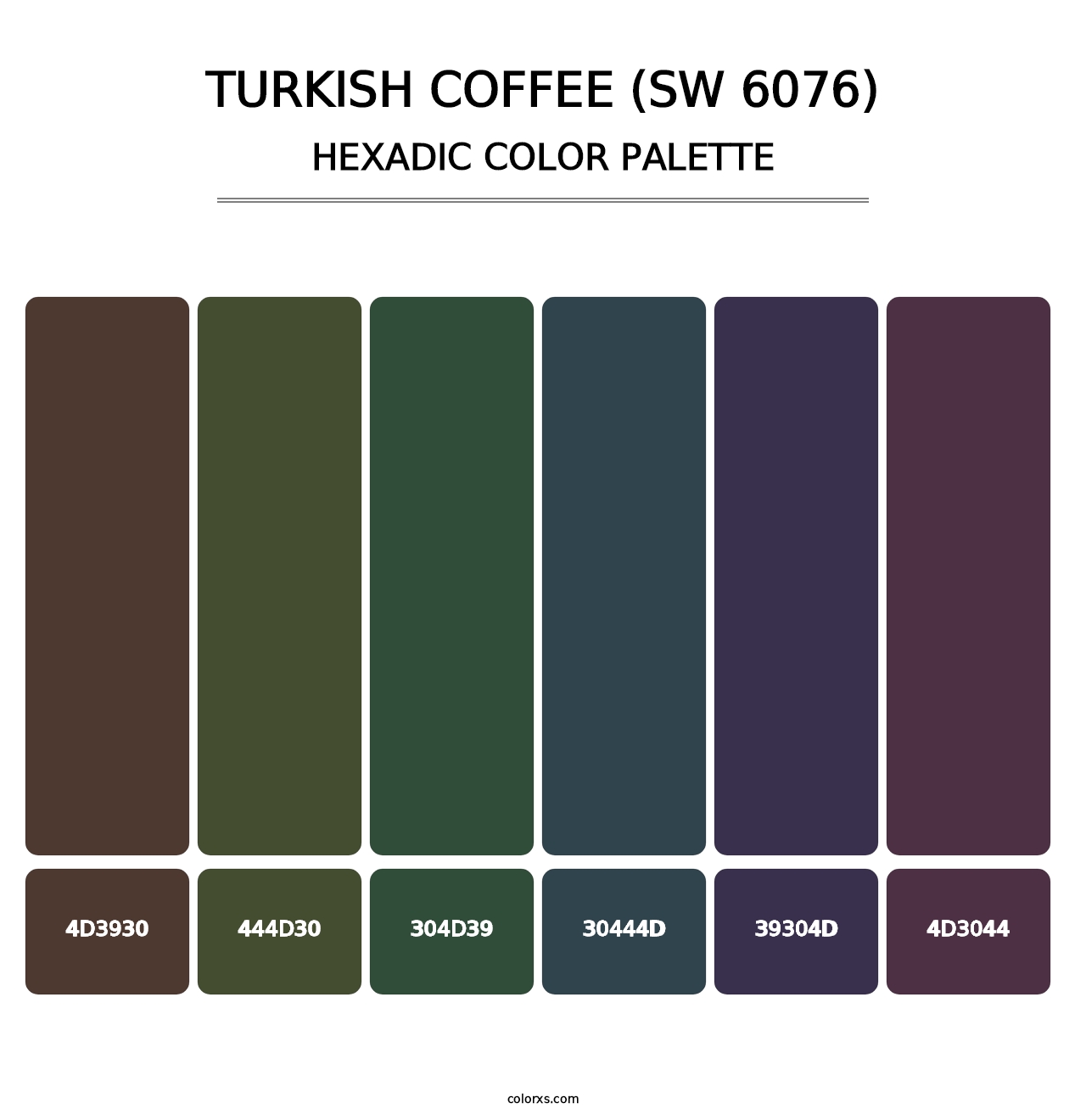 Turkish Coffee (SW 6076) - Hexadic Color Palette