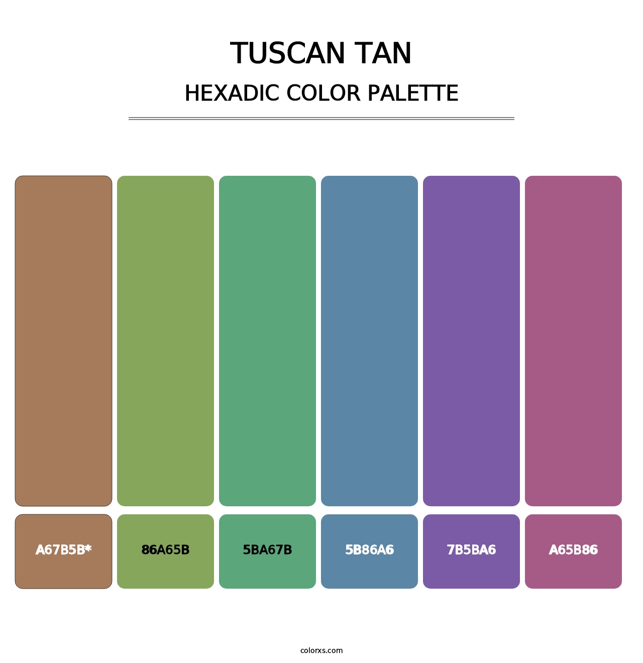 Tuscan Tan - Hexadic Color Palette
