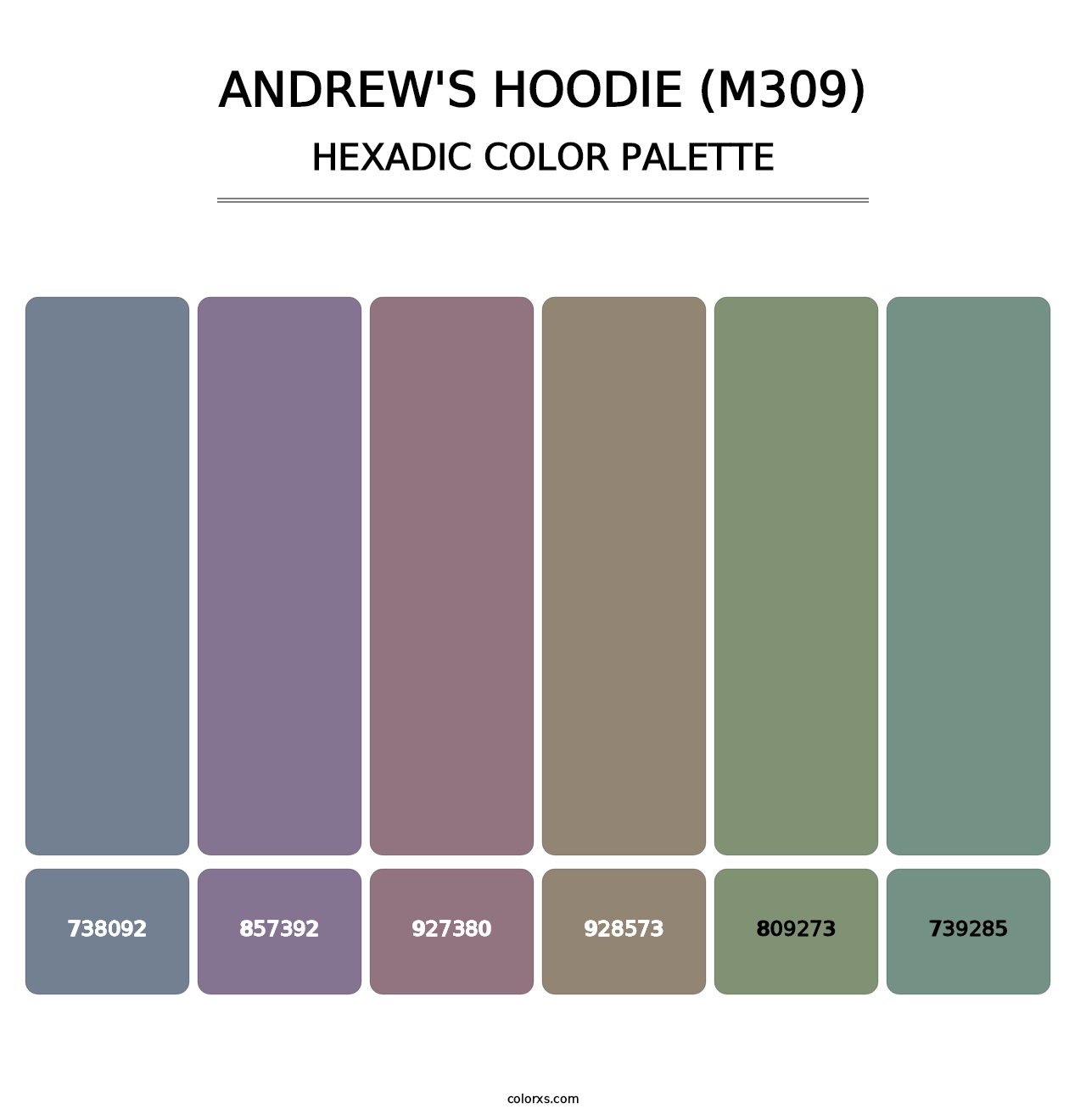 Andrew's Hoodie (M309) - Hexadic Color Palette