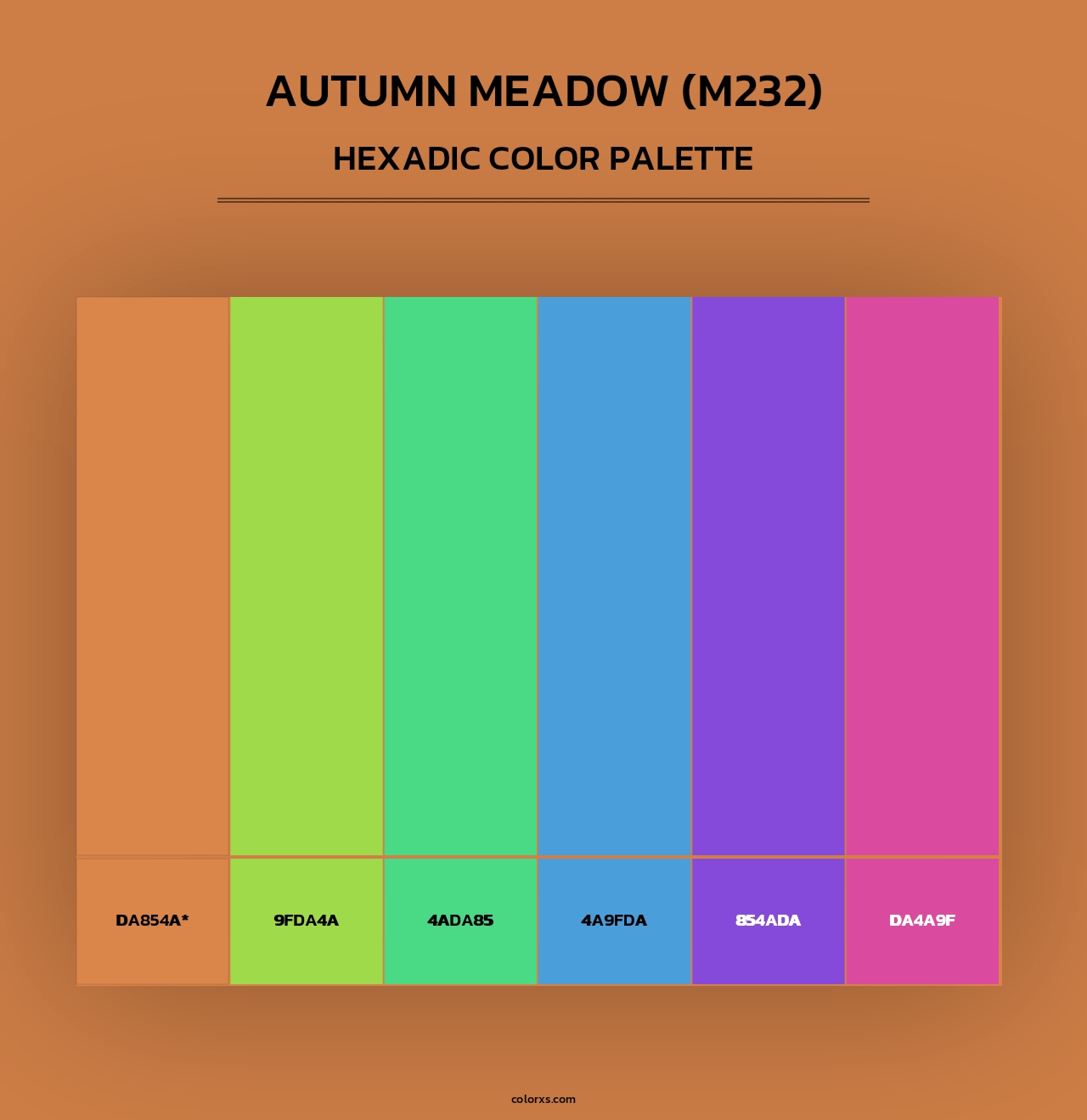 Autumn Meadow (M232) - Hexadic Color Palette