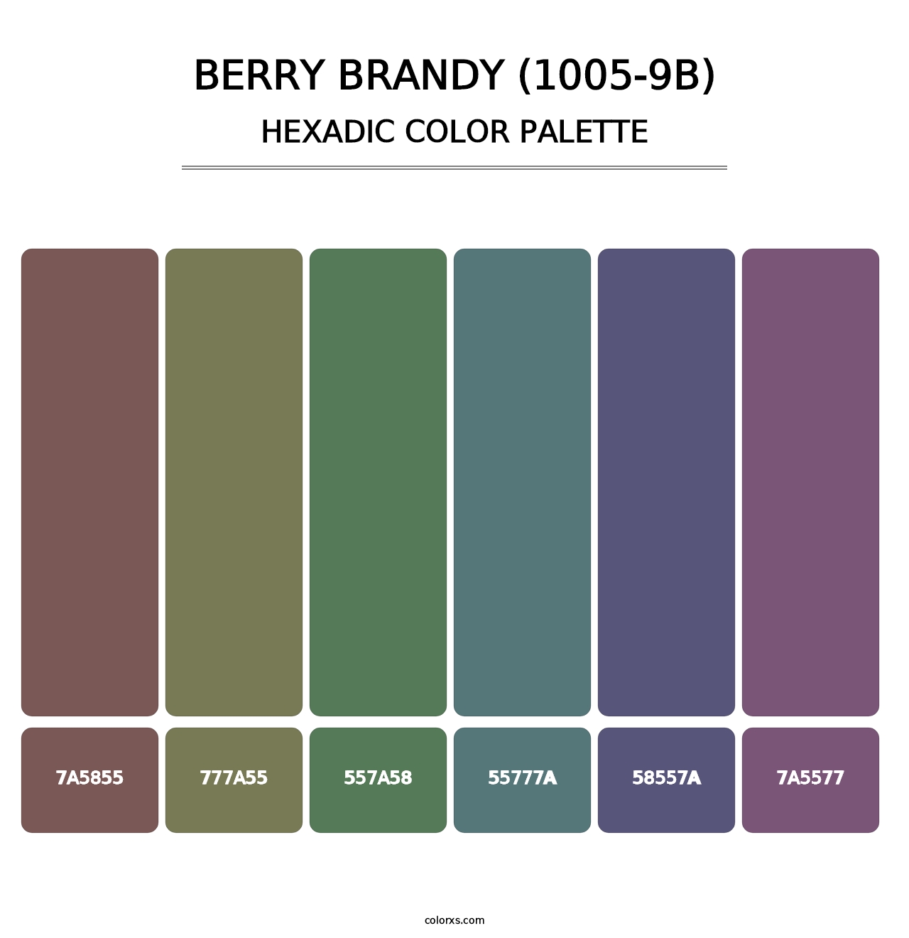 Berry Brandy (1005-9B) - Hexadic Color Palette