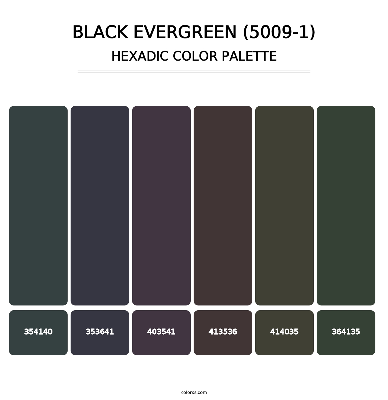 Black Evergreen (5009-1) - Hexadic Color Palette