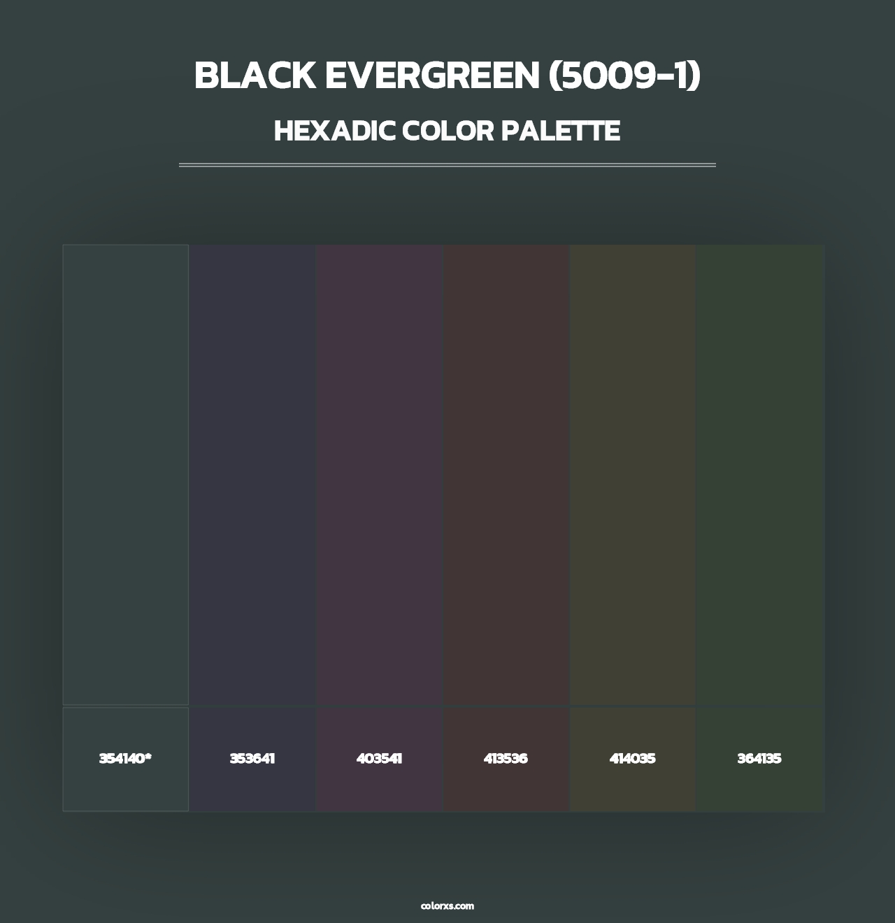 Black Evergreen (5009-1) - Hexadic Color Palette