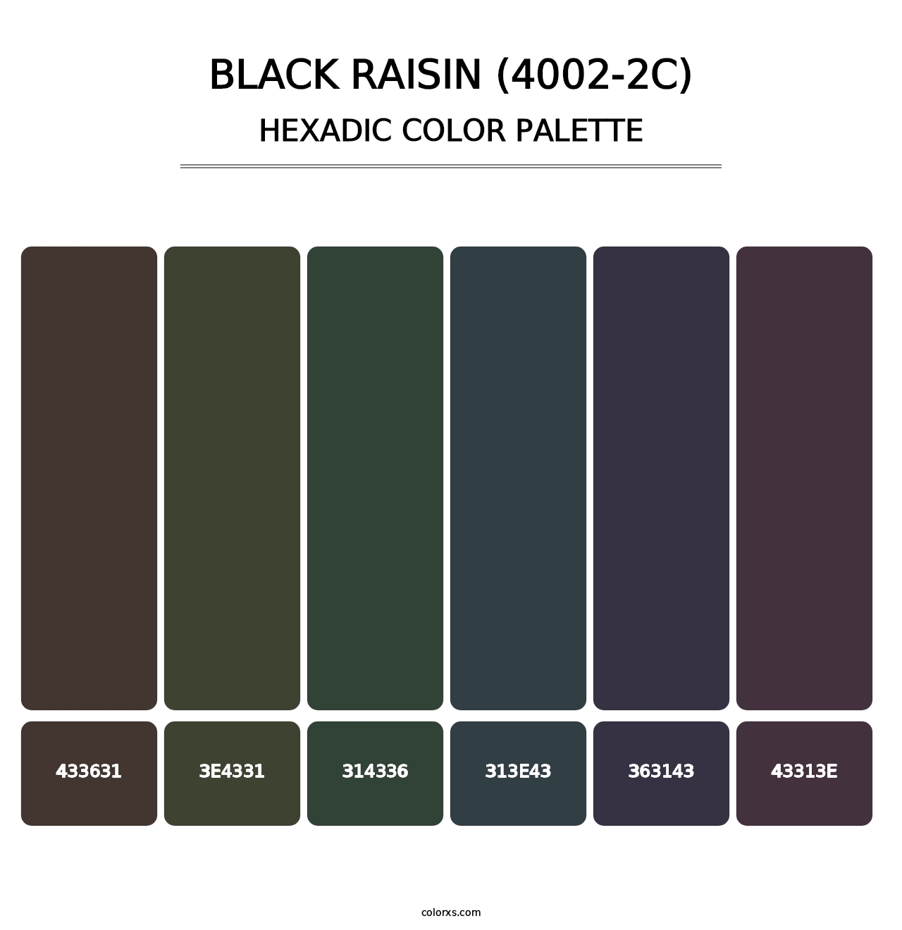 Black Raisin (4002-2C) - Hexadic Color Palette