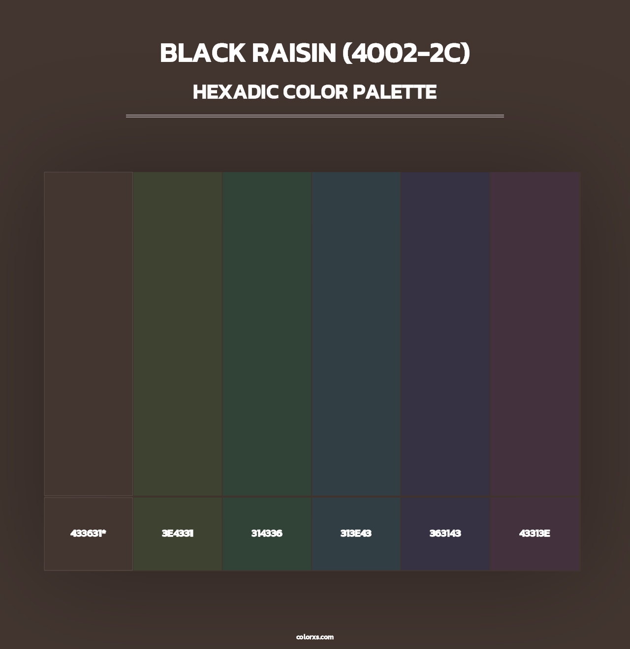 Black Raisin (4002-2C) - Hexadic Color Palette