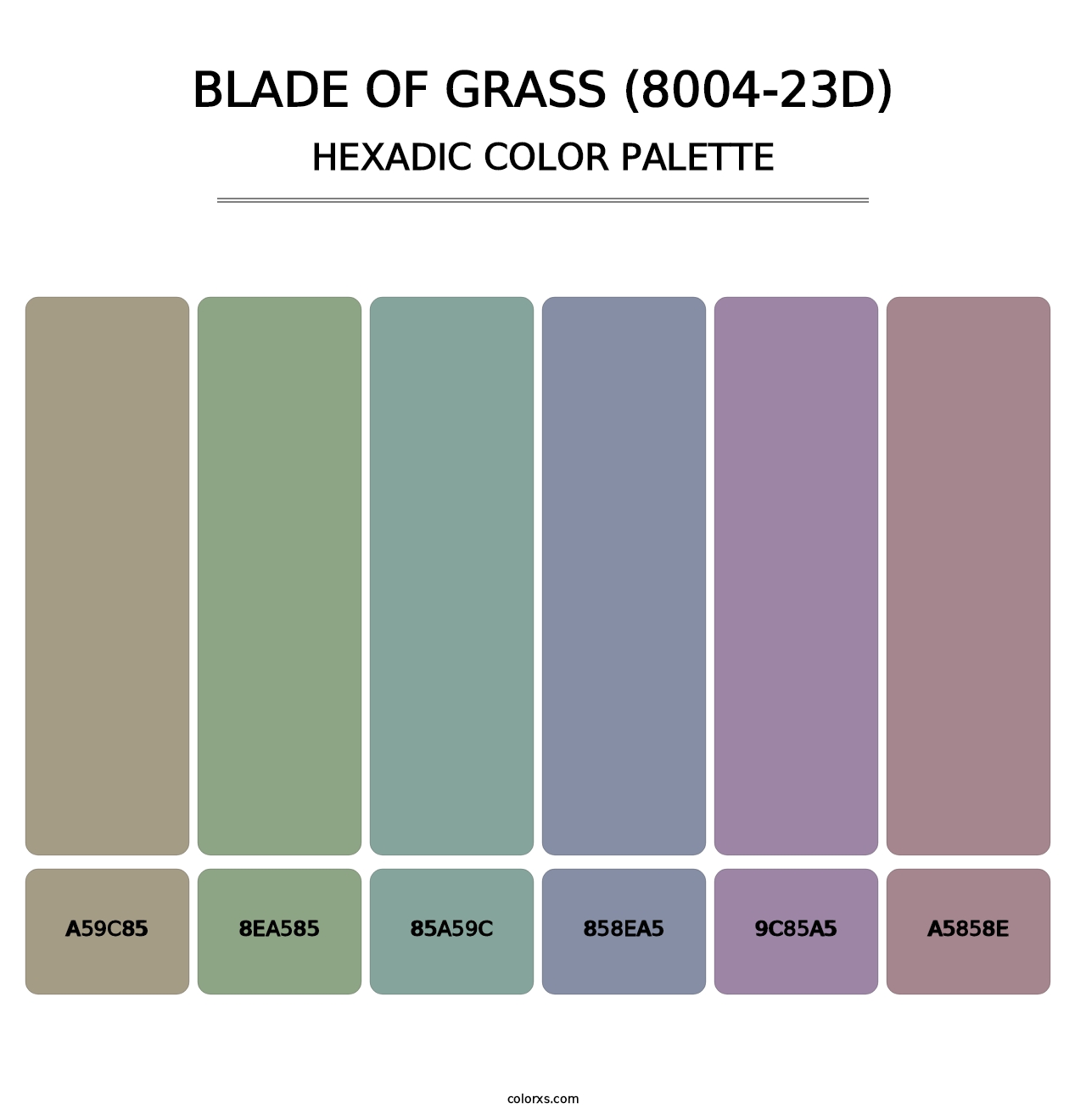 Blade of Grass (8004-23D) - Hexadic Color Palette