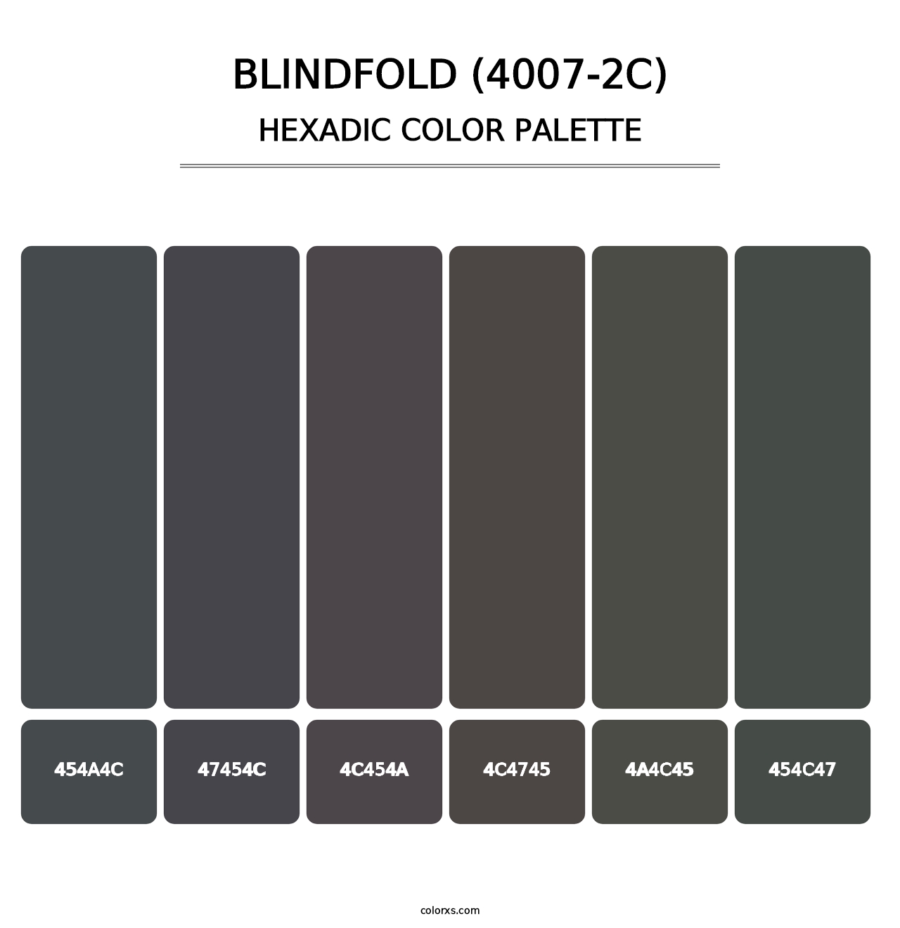 Blindfold (4007-2C) - Hexadic Color Palette