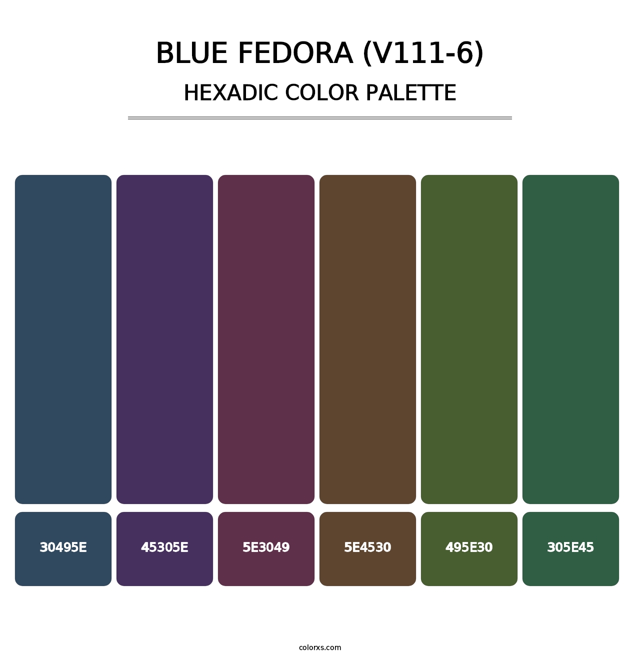 Blue Fedora (V111-6) - Hexadic Color Palette