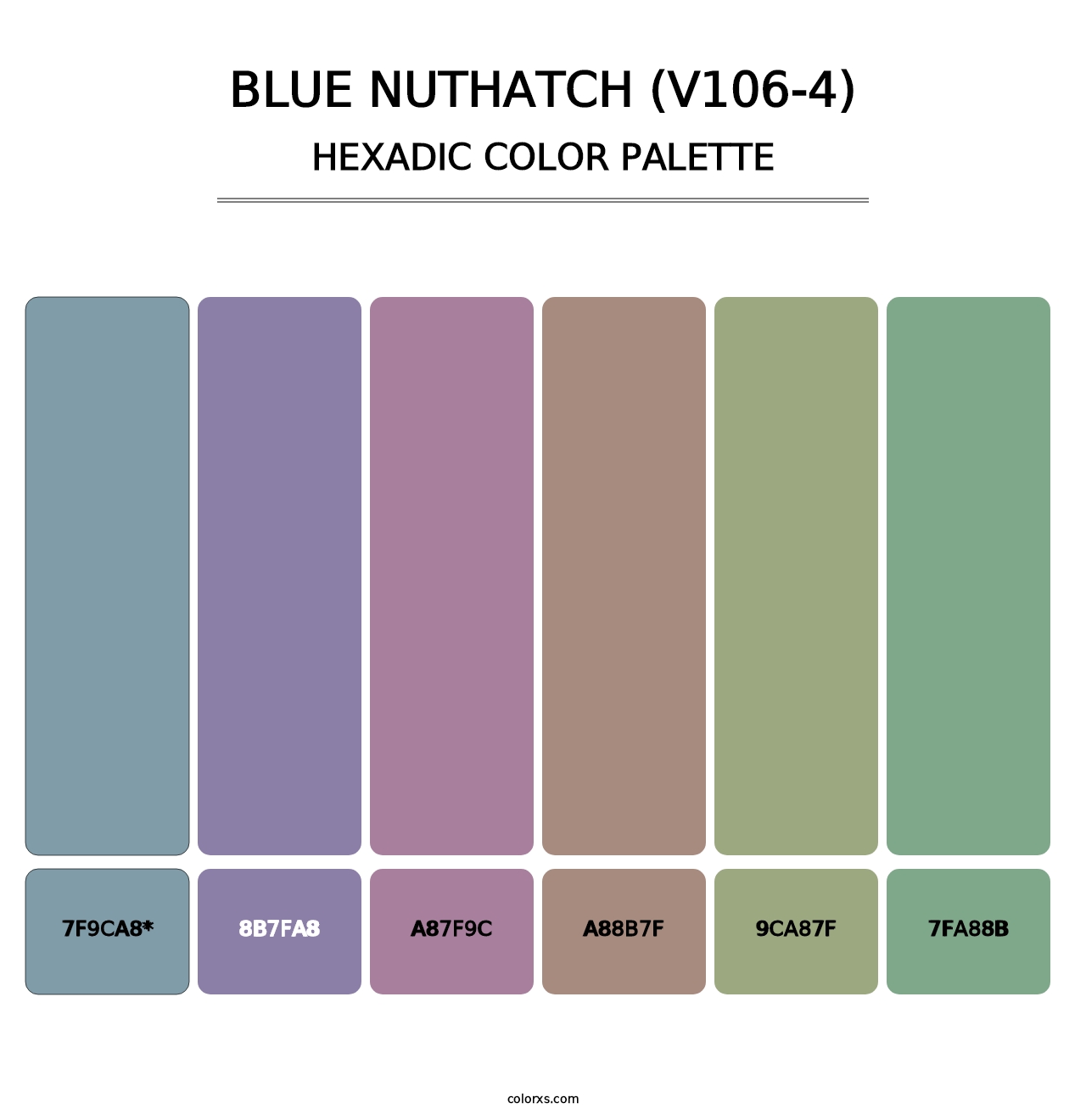 Blue Nuthatch (V106-4) - Hexadic Color Palette