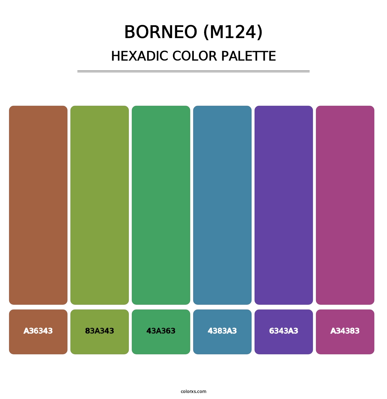Borneo (M124) - Hexadic Color Palette